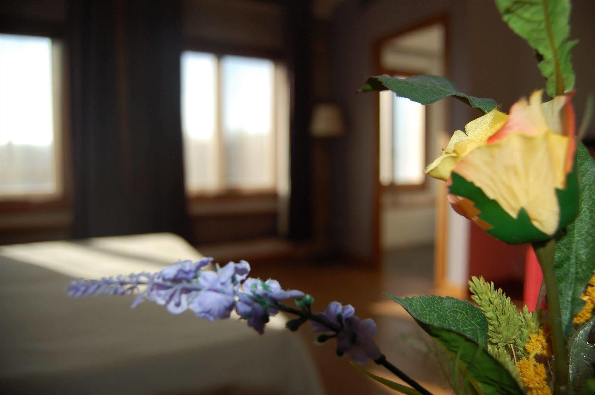 Hotel Moli De La Torre Bigues I Riells Zewnętrze zdjęcie